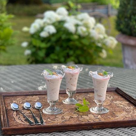 Chateau Pont Jarno B&B Champdeniers Dış mekan fotoğraf