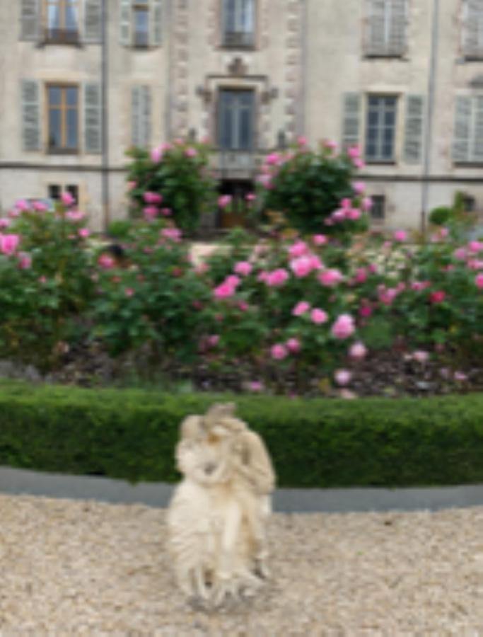 Chateau Pont Jarno B&B Champdeniers Dış mekan fotoğraf