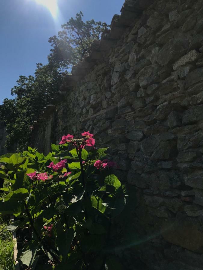 Chateau Pont Jarno B&B Champdeniers Dış mekan fotoğraf