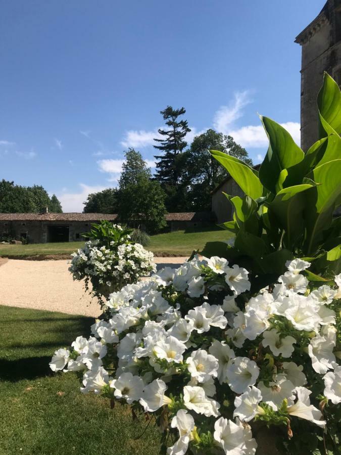 Chateau Pont Jarno B&B Champdeniers Dış mekan fotoğraf
